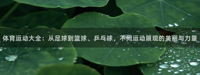 乐球体育直播吧免费观看：体育运动大全：从足球到篮球、乒乓球，不同运动展现的美丽与力量