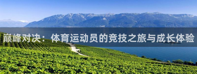 乐球体育无插件