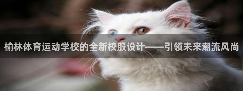 乐球体育官网入口