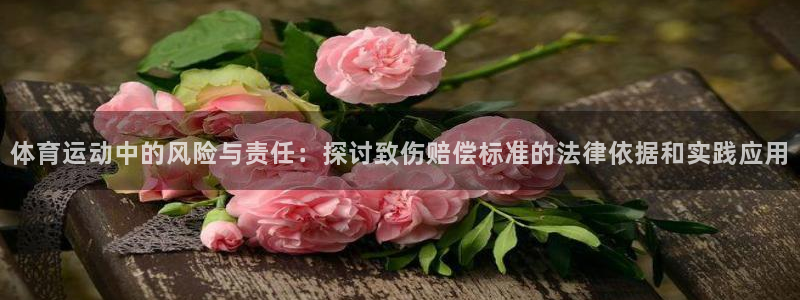 乐球体育app官方下载