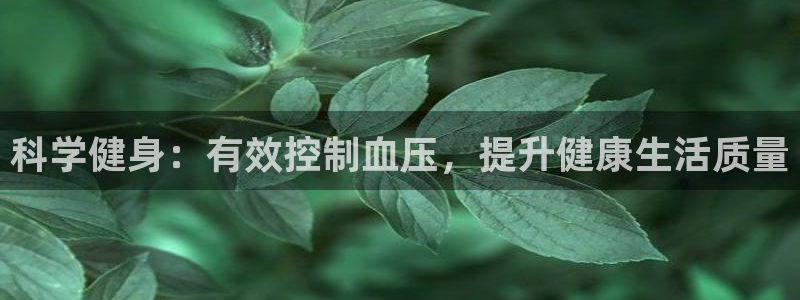 乐球体育jrs
